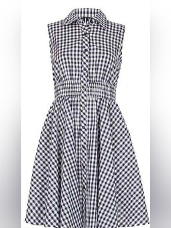 Papillon Blanc Dresses & Skirts - Papillon Classic Blue and White Gingham Dress Size Large